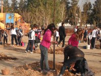 Els escolars planten 80 arbres al Parc dels Xiribecs un any després de la inauguració