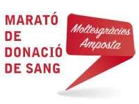 334 participants a la Marató de donació de sang