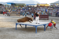 Els actes taurins de Festes Majors d’Amposta es mantenen en nombre i inclouen nous espectacles