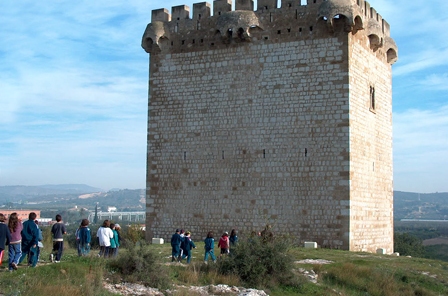 Ajuntament d´Amposta > Comunicació > Visites guiades gratuites al Parc Arqueològic de la Carrova amb motiu del Dijous Jarder