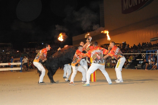 Ajuntament d´Amposta > Comunicació > Amposta programa 43 actes de bous per a la setmana de festes