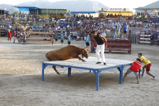 Ajuntament d´Amposta > Comunicació > Amposta programa 43 actes de bous per a la setmana de festes