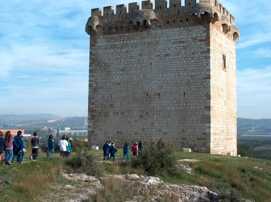 Ajuntament d´Amposta > Comunicació > Visites guiades gratuïtes al Parc Arqueològic de la Carrova