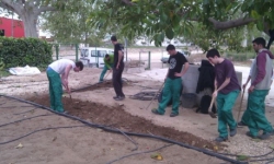 Trenta-tres joves obtenen un contracte laboral gràcies al programa Joves per l’Ocupació