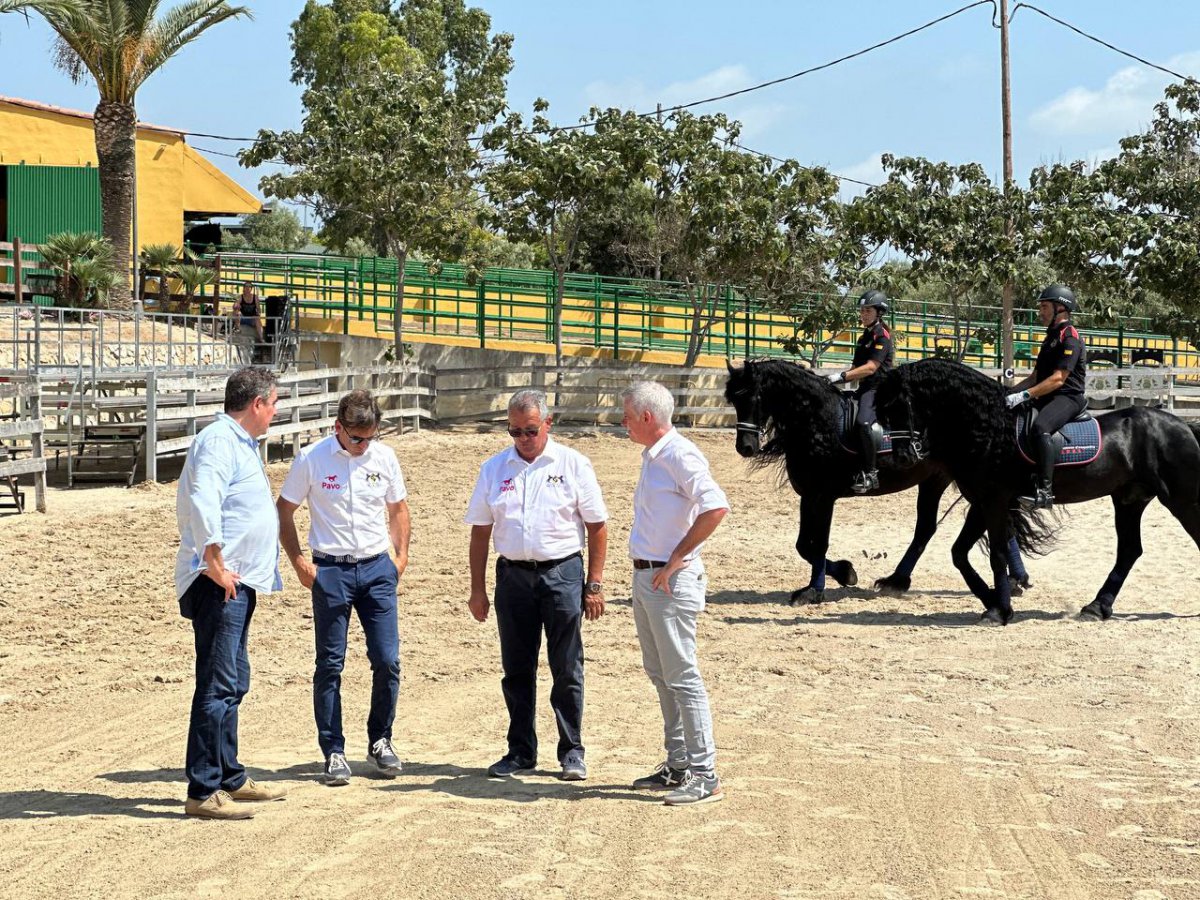 Amposta recupera el Campionat Nacional de Cavalls de Pura Raça Frisó