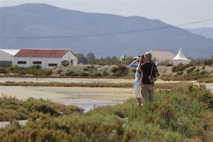 Ajuntament d´Amposta > Comunicació > Prop de 2.000 persones omplen les activitats del segon festival internacional d’ornitologia al Delta de l’Ebre