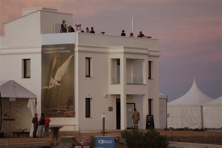 Ajuntament d´Amposta > Comunicació > Prop de 2.000 persones omplen les activitats del segon festival internacional d’ornitologia al Delta de l’Ebre