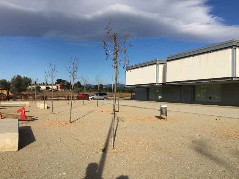 La inauguració de la plaça Neus Català i una jornada sobre lideratge  femení, eixos del Dia de la Dona a Amposta