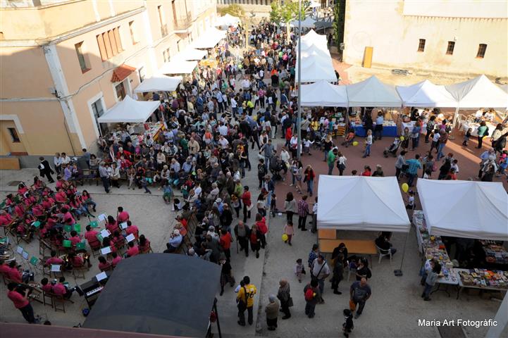 Viu el Sant Jordi al Castell