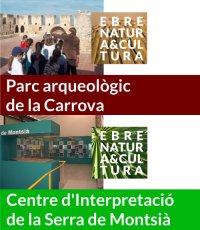 El Museu de les Terres de l´Ebre organitza durant el mes de juliol diferents activitats dintre de la xarxa Ebre Natura