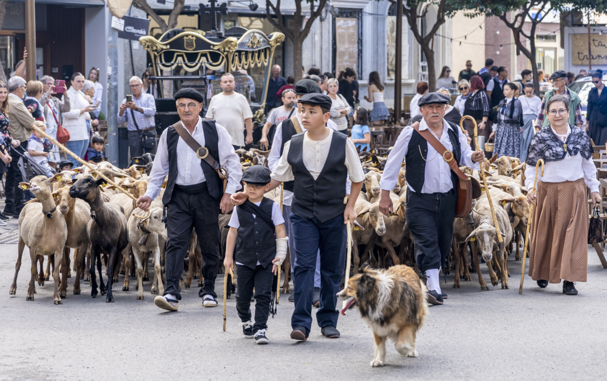 El Pla ImpulsDipta, de la Diputació de Tarragona, subvenciona amb prop de 35.000 euros la Festa del Mercat a la Plaça