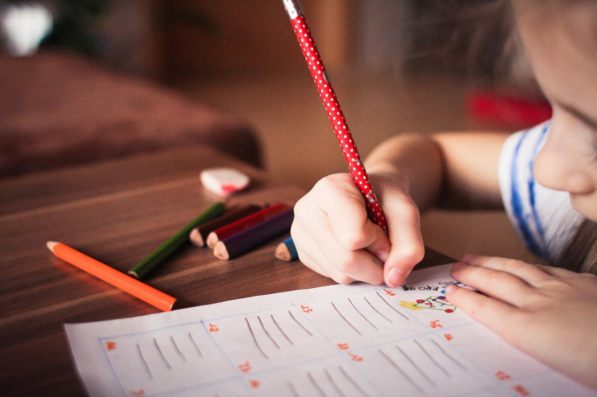 L’Ajuntament atorga prop de 40.000 euros a les AFA dels centres educatius de primària per a la socialització de llibres