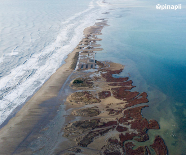 L’Ajuntament prepara model d’al·legacions per al ’Plan para la Protección del Delta del Ebro’