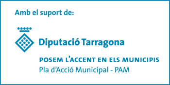 Ajuntament d´Amposta > Comunicació > Concessió de subvenció per la Diputació de Tarragona – Pla d’Acció Municipal 2012.