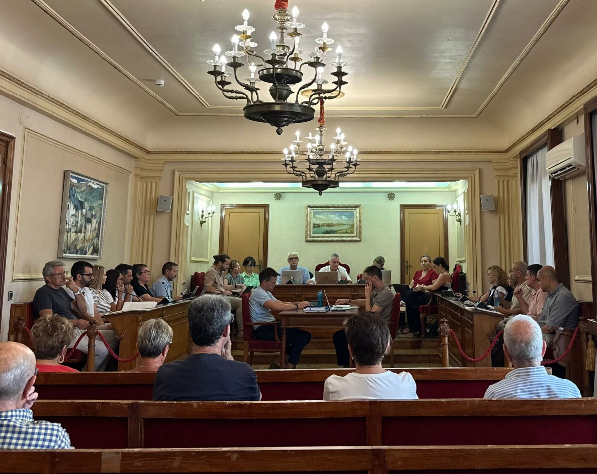 L’Ajuntament d’Amposta insta la Generalitat i l’Estat que modifiquin la llei per poder instal·lar càmeres a les illes de contenidors