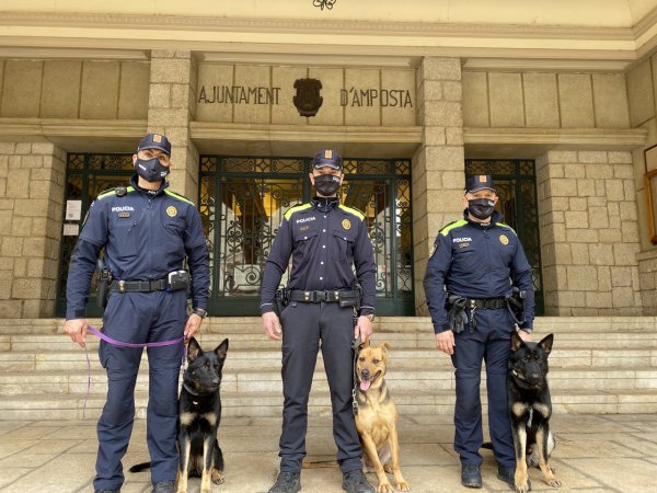 La unitat canina de la Policia Local d’Amposta, operativa de nou